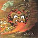 ready-to-fly_herbs_rev900